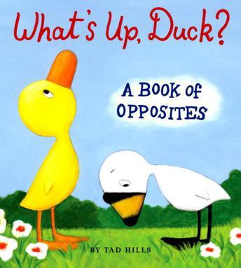 Duck & Goose: What's Up, Duck?