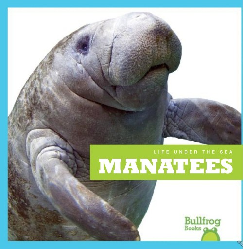 Manatees