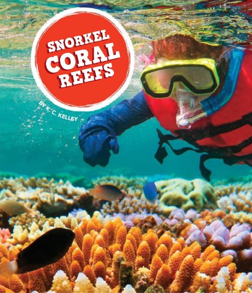 Snorkel Coral Reefs