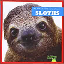 Sloths (Bullfrog Books: My First Anima