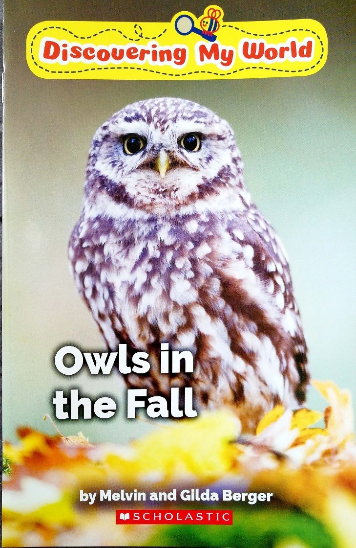 Owls in the Fall