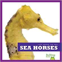 Sea Horses (Bullfrog Books: Life Under