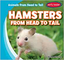 Hamsters from Head to Tail (Animals fr