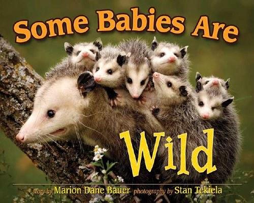 Some Babies Are Wild