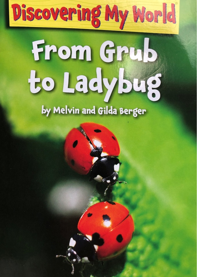 From Grub to Ladybug