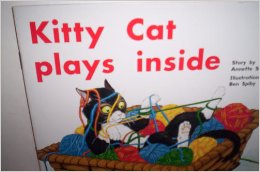 Kitty Cat Plays Inside