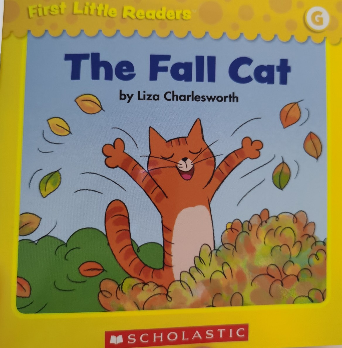 The Fall Cat