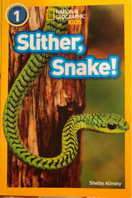 Slither,Snake!