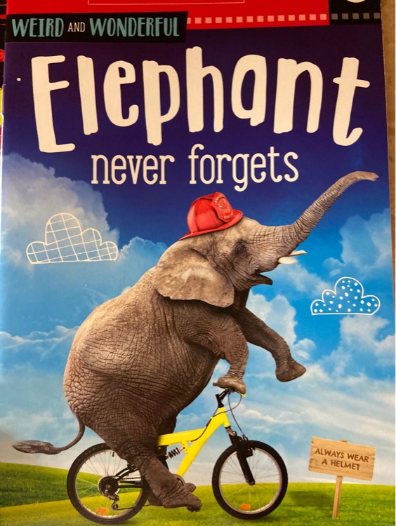 elephant never forgets