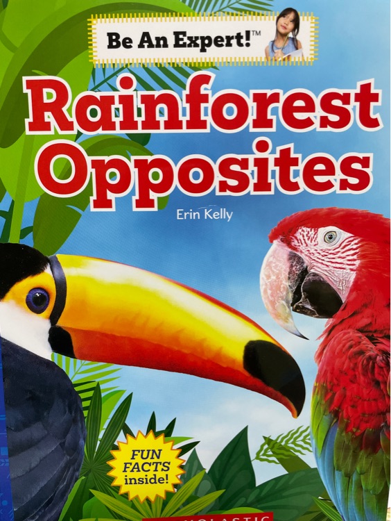 Be an expert rainforest opposite