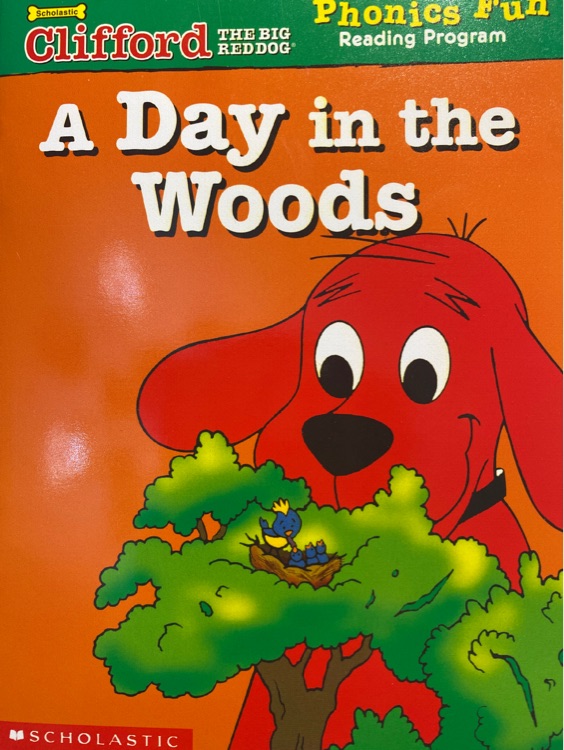 A day in the woods