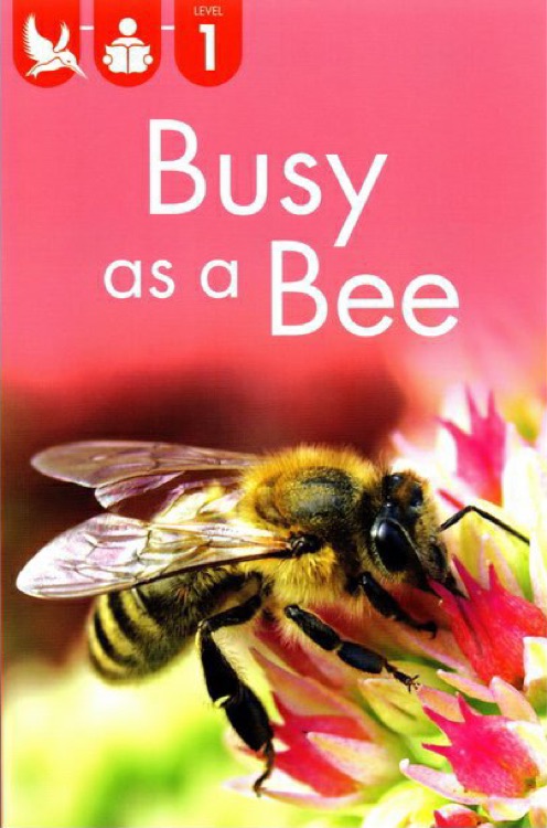 Kingfisher Readers L1: Busy as a bee