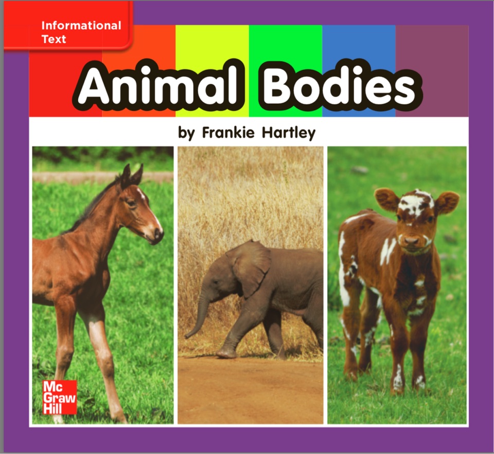 Animal Bodies