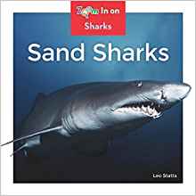 Sand Sharks