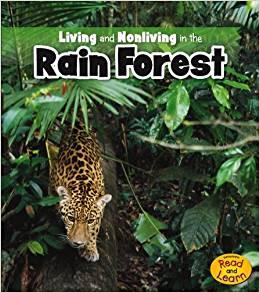 Living and Nonliving in the Rain Fores