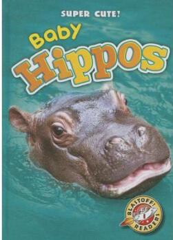 Baby Hippos