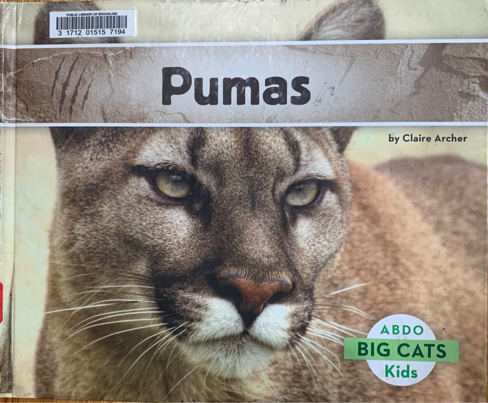 Pumas