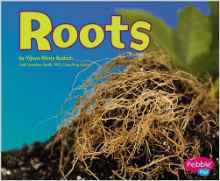 Roots (Plant Parts series)