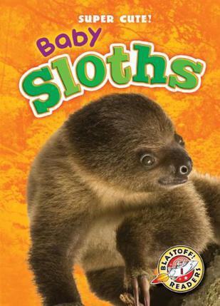 Baby Sloths