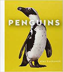 Penguins (Zoo Animals)