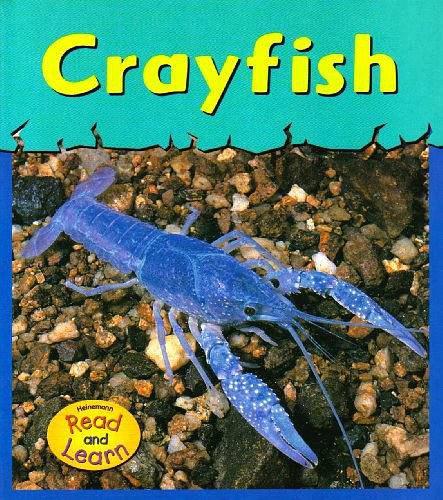 Crayfish