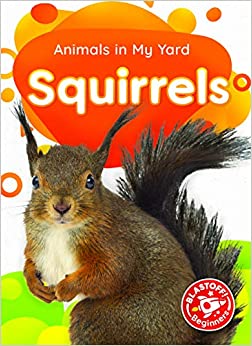 Squirrels (Animals in My Yard)