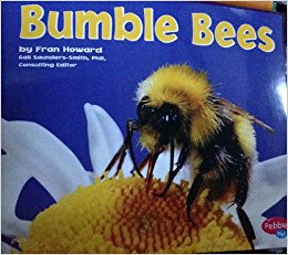 Bumble Bees [Scholastic] (Bugs, Bugs, 