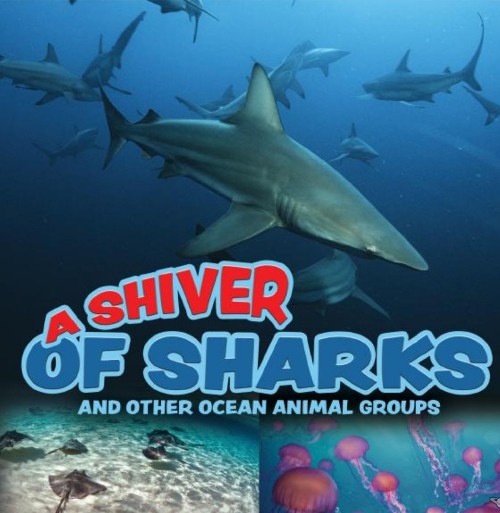 A Shiver of Sharks