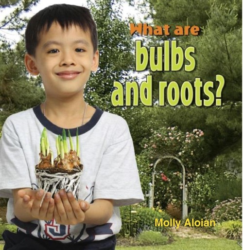 What are bulbs and roots