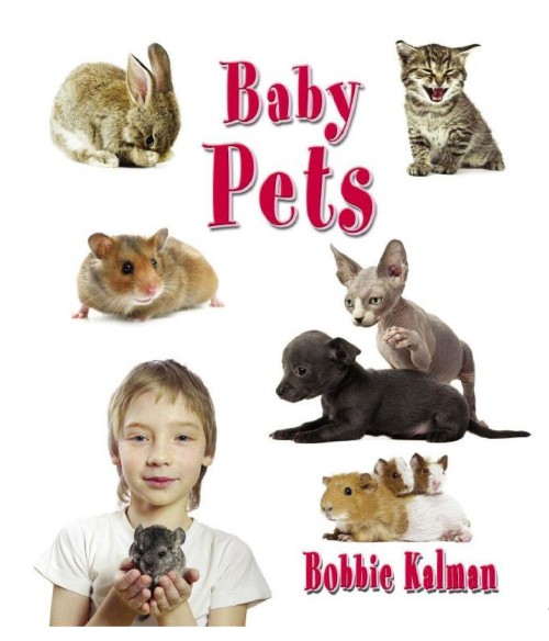 Baby Pets