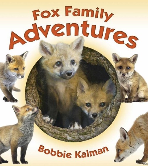 Fox Family Adventures