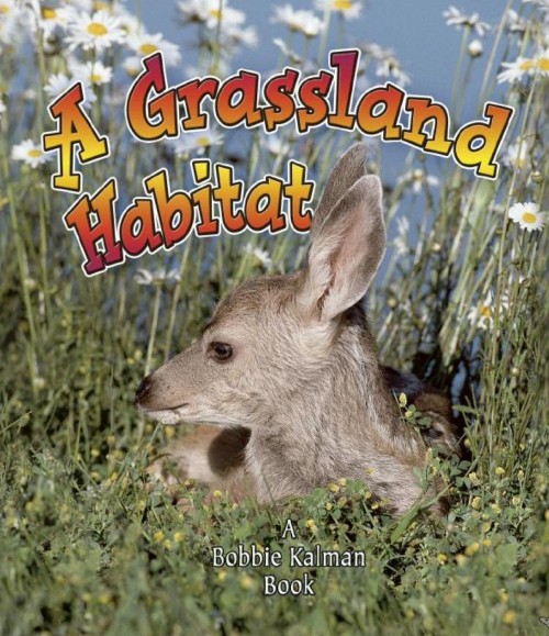 A Grassland Habitat