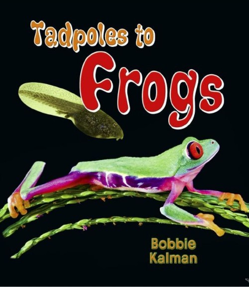 Tadpoles to Frogs