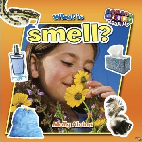 What is Smell