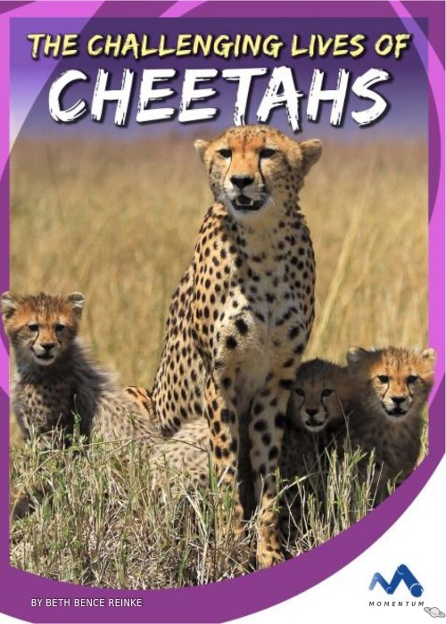 The Challenging Lives of Cheetahs