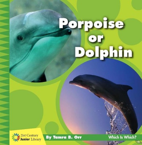 Porpoise or Dolphin