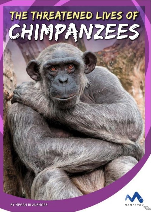 The Threatened Lives of Chimpanzees