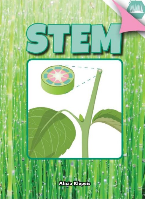 Stem