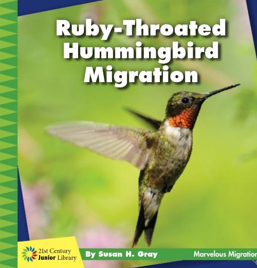 Ruby-Throated Hummingbird Migration