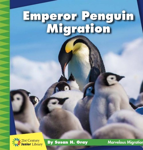 Emperor Penguin Migration