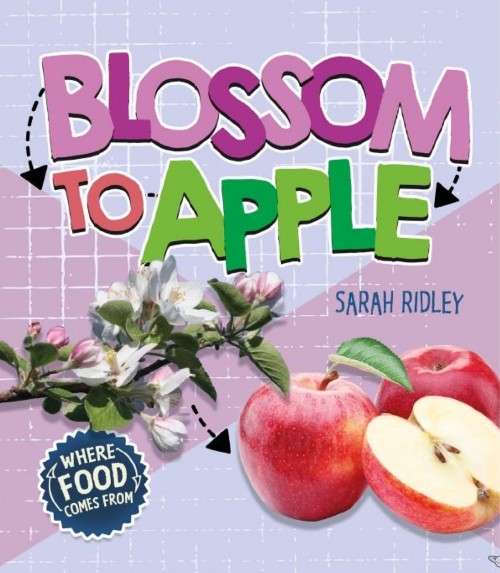 Blossom to Apple