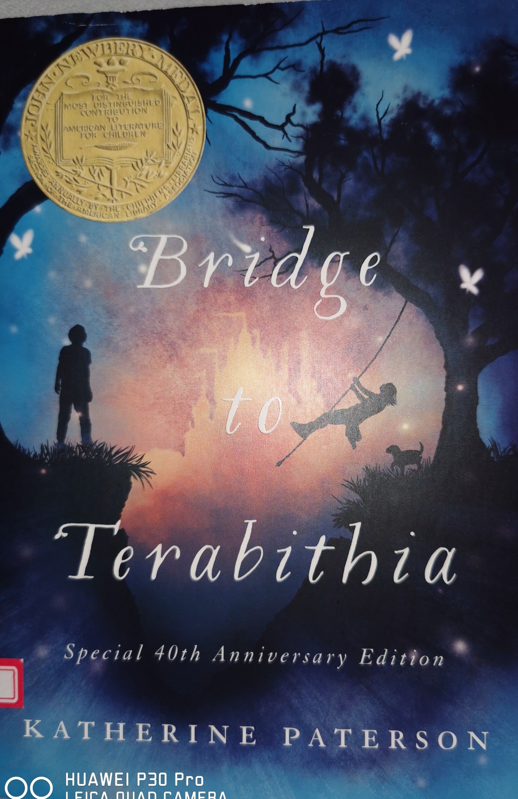 Bridge to Terabithia