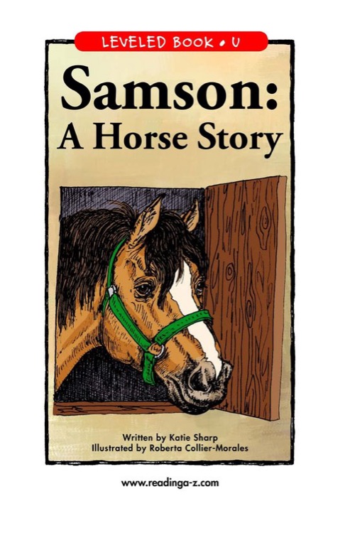 Samson: A Horse Story (RAZ U)