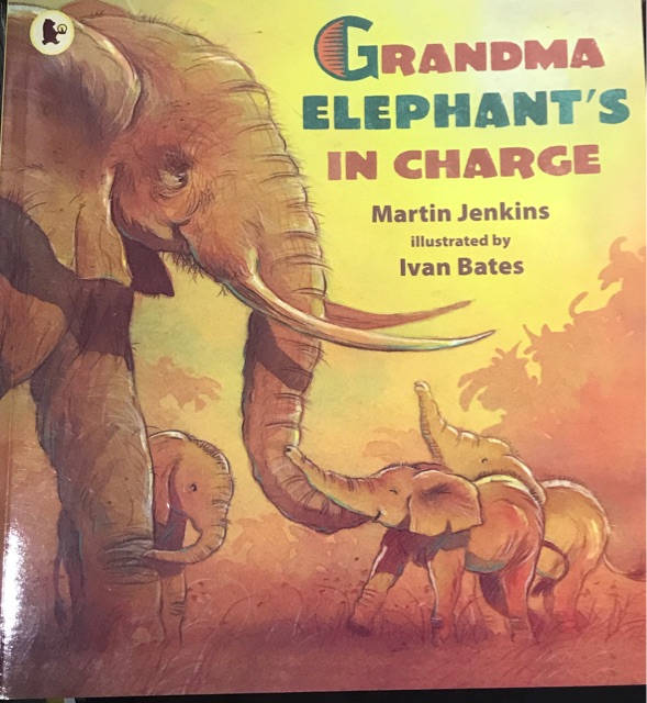 Grandma elephant's in charge