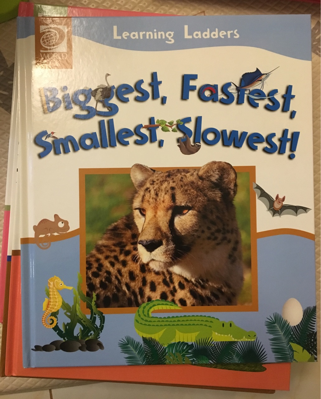 Biggest, Fastest, Smallest, Slowest