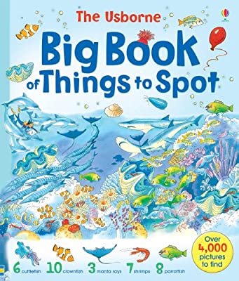 The Usborne Big Book of Things to Spot