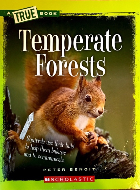 Temperate Forests