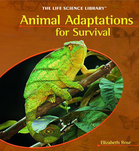 Animal Adaptations for Survival