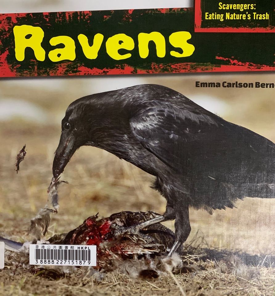 Ravens