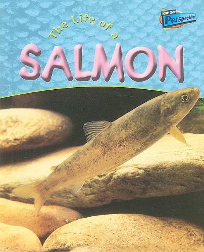 The Life of a Salmon